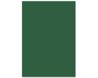 Creakit carton photo coloré, 50 x 70 cm, 300 g, paquet de 25 feuilles, vert sapin