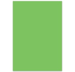 Cardboard, (L)500 x (H)700 mm, 300 g/m², light green