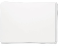 EN_FEUILLE STEINBACH 250GR 73X110