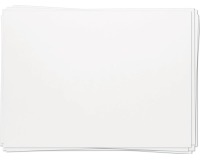 EN_FEUILLE STEINBACH 250 GR 55X73