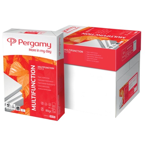 Papier Pergamy Multifunctional A4 80g - palette jetable de 200 ramettes de 500 feuilles