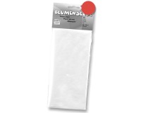 EN_PAPIER DE SOIE 50X70CM 26F RGE