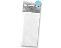 EN_PAP DE SOIE 50X70CM 26F BL CL