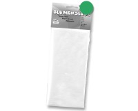 EN_PAPIER DE SOIE 50X70CM 26F VE