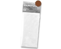 EN_PAPIER DE SOIE 50X70CM 26F BR