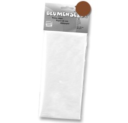 EN_PAPIER DE SOIE 50X70CM 26F BR