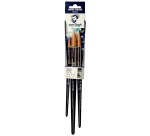 Van Gogh set of 191 large watercolor brushes, set of 3 brushes