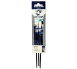 Van Gogh 191 small watercolor brush set, set of 3 brushes