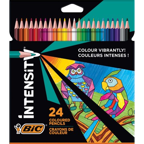 Bic kleurpotlood Color Up, etui van 24 stuks