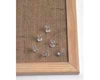 Naga prikbordspelden, transparant