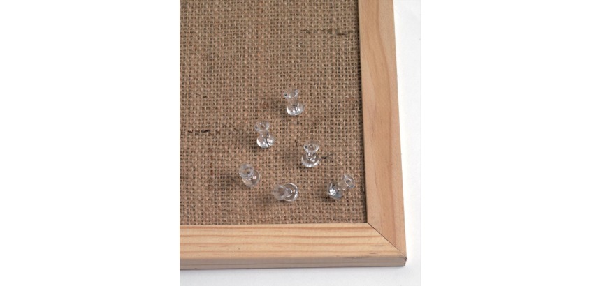 Naga prikbordspelden, transparant