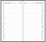 Aurora Timeplan Taschenkalender, sortierte Farben, 2027