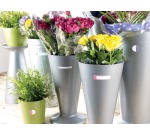 Avery Family laminierte Etiketten, anheftbarer Beutel mit 24 Etiketten, Neonformate und -farben