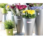 Avery Family laminierte Etiketten, anheftbarer Beutel mit 24 Etiketten, Neonformate und -farben