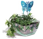 Folia colle pailletée