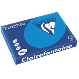 DE_TROPH TURQUOISE A3 160GR 250F