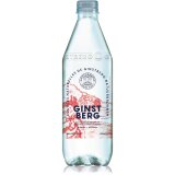 Ginstberg eau minérale naturelle, pétillante, bouteille de 50 cl, paquet de 12 pièces