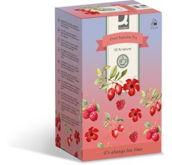 Q-CONNECT thee, fruit infusion, zakje van 1,5 g, doos van 20 zakjes