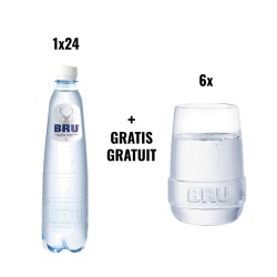 Pack 24 x 50 cl BRU + Satz von 6 GRATIS-Gläsern