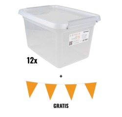 ACTION: 12 x DONAU Home storage box, 15 l + FREE 1 x Flag garland, 10m, orange