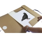 Kangaro tekenmap, ft 50 x 70 cm