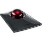 Kensington SlimBlade Pro Trackball, zwart