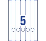 Avery Zweckform L4758-25 étiquettes pour classeurs à levier ft 38 x 297 mm (l x h), 125 étiquettes, bla