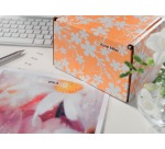 Avery L7551-25 étiquettes adresse ft 38,1 x 21,2 mm (b x h), 1.625 étiquettes, transparent