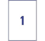 Avery L7567-25 shipping labels ft 210 x 297 mm (w x h), 25 labels, transparent