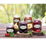 Avery Family ovale oplosbare etiketten, ft 5,5 x 3 cm, ophangbare etui met 18 etiketten