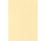 Decadry papier à structure champagne, 165 g, paquet de 50 feuilles