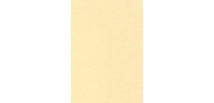 Decadry Champagne-Strukturpapier, 165 g, Packung mit 50 Blatt