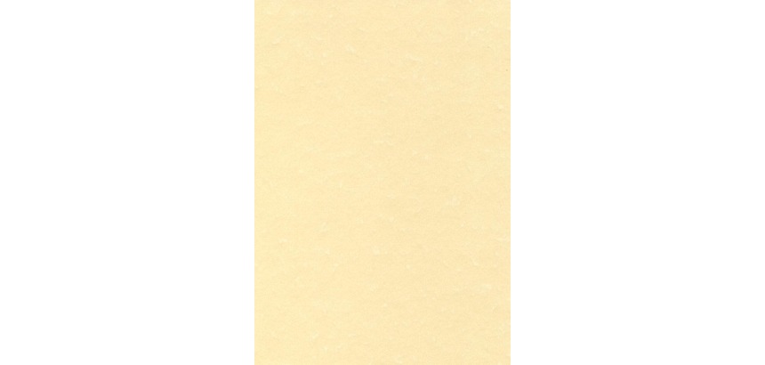 Decadry papier à structure champagne, 165 g, paquet de 50 feuilles