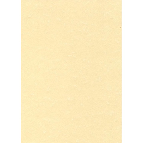 Decadry papier à structure champagne, 165 g, paquet de 50 feuilles