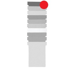 EN_P.100 FICHES T ID.1,5 ROUGE VX