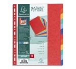 Intercalaire A4+ carte lustrée colorée Exacompta 12 onglets neutres multicolores - 1 jeu