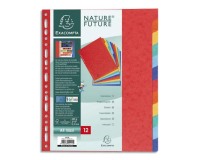 Intercalaire A4+ carte lustrée colorée Exacompta 12 onglets neutres multicolores - 1 jeu
