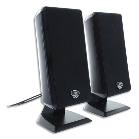 Enceinte 2.0 Multimédia ML305455