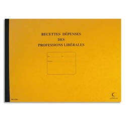Piqûre journal recettes et dépenses des professions libérales - Elve 97381 - 80 pages - Format 27 x 37 cm à l'italienne