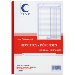 Manifold 'Recettes / Dépenses', A4, dupli, 50 feuillets