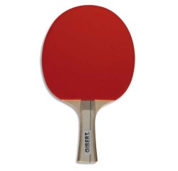 Raquettes tennis de table bois manche ergonomique       caoutchouc picots retournes   coloris assortis