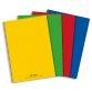 Cahier spirale 21x29,7cm 100 pages petits carreaux 5x5 90g. Couverture polypro assortie