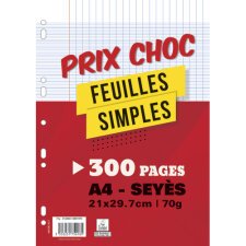 Feuillets mobiles 300 pages séyès format 21 x 29,7 - perforées