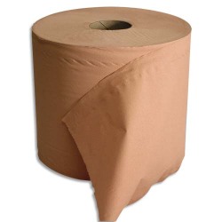 Lot de 2 Bobines d'essuyage 2 plis 1000 formats 30 x 21 cm - L300 m, bobine D25 cm chamois Eco
