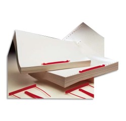 Doos met 50 kunststof archiefbinders CAPICLASS 1, voor geperforeerde documenten