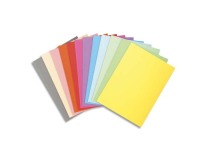 Chemise standard 210 g Exacompta Forever 24 x 32 cm - Paquet de 100