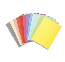 Chemise standard 210 g Exacompta Forever 24 x 32 cm - Paquet de 100