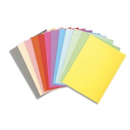 Chemise standard 220 g Exacompta Forever® 24 x 32 cm couleurs assorties - Paquet de 100