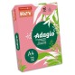 Ramette 500 feuilles papier couleur flash ADAGIO framboise fluo A4 80g