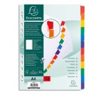 Intercalaires carte blanche 160g avec onglets couleurs renforcés - 12 positions - A4 - Blanc